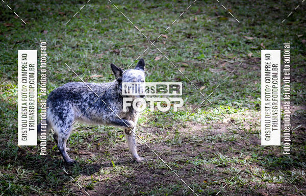 Buy your photos of the eventCopa EndorPhhine de MTB on Fotop