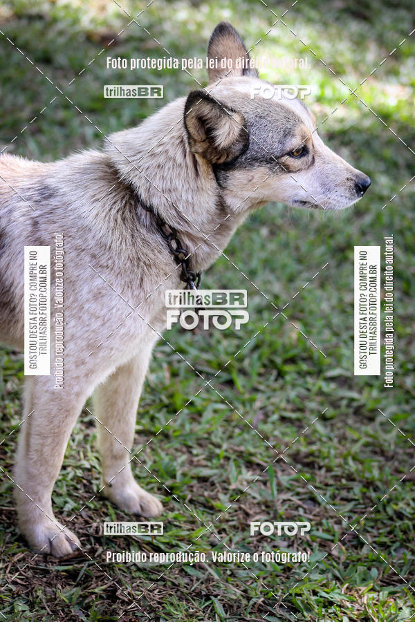 Buy your photos of the eventCopa EndorPhhine de MTB on Fotop