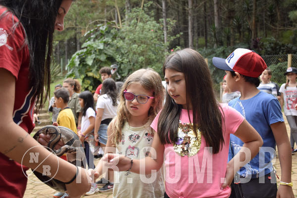 Buy your photos of the eventNR1 - ENGLISH & ACTION - 07 A 10/05/19 on Fotop