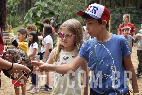 Buy your photos of the eventNR1 - ENGLISH & ACTION - 07 A 10/05/19 on Fotop