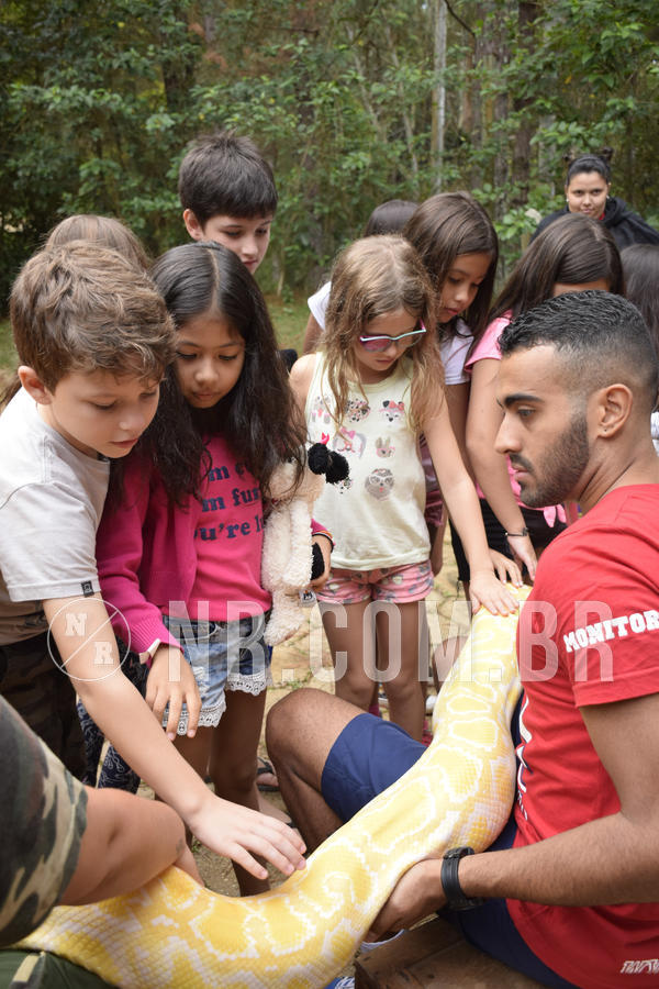 Buy your photos of the eventNR1 - ENGLISH & ACTION - 07 A 10/05/19 on Fotop