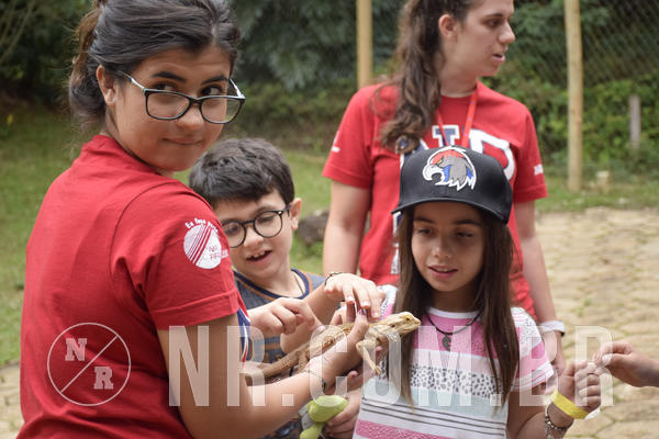 Buy your photos of the eventNR1 - ENGLISH & ACTION - 07 A 10/05/19 on Fotop