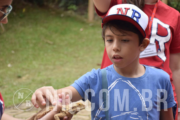 Buy your photos of the eventNR1 - ENGLISH & ACTION - 07 A 10/05/19 on Fotop