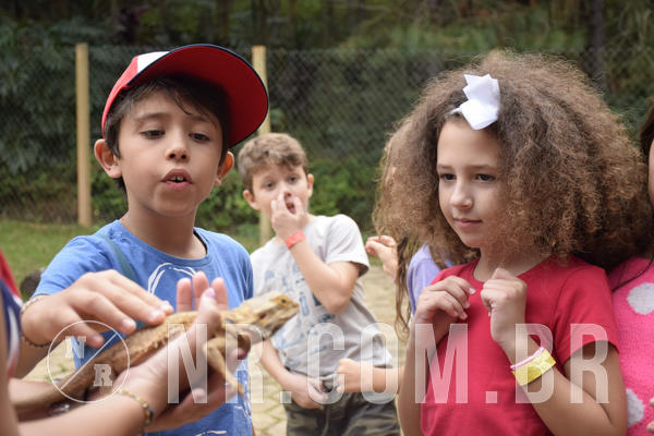 Buy your photos of the eventNR1 - ENGLISH & ACTION - 07 A 10/05/19 on Fotop