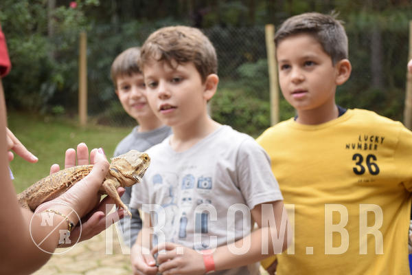 Buy your photos of the eventNR1 - ENGLISH & ACTION - 07 A 10/05/19 on Fotop