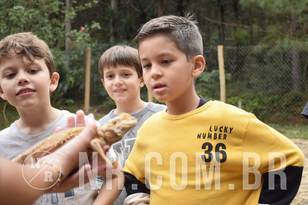 Buy your photos of the eventNR1 - ENGLISH & ACTION - 07 A 10/05/19 on Fotop