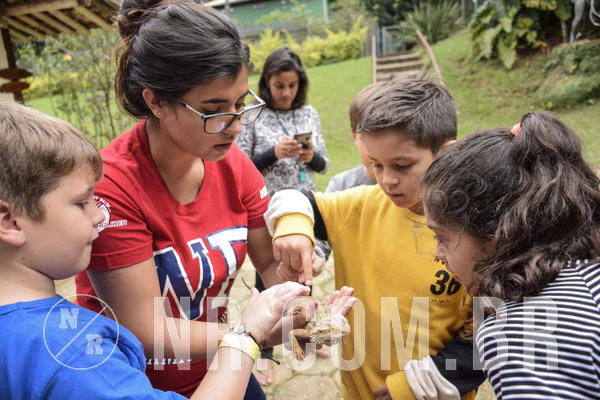 Buy your photos of the eventNR1 - ENGLISH & ACTION - 07 A 10/05/19 on Fotop