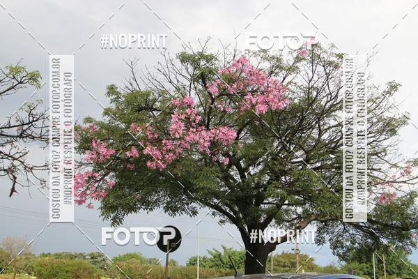 Compre as suas fotos do eventoTreino - Motocross no Fotop