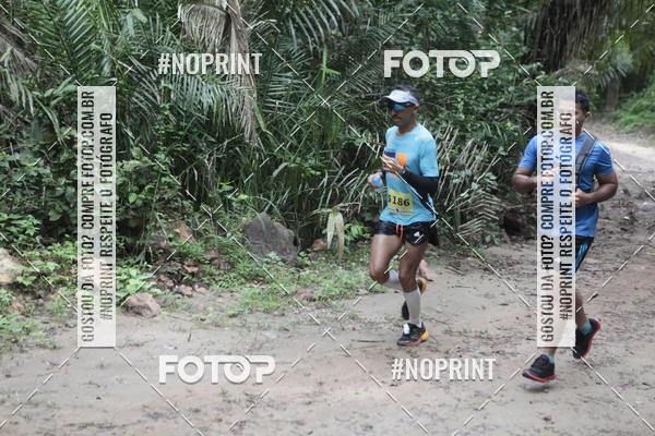 Buy your photos of the eventBR 135 ULTRAMARATONA DE RUA TERESINA on Fotop
