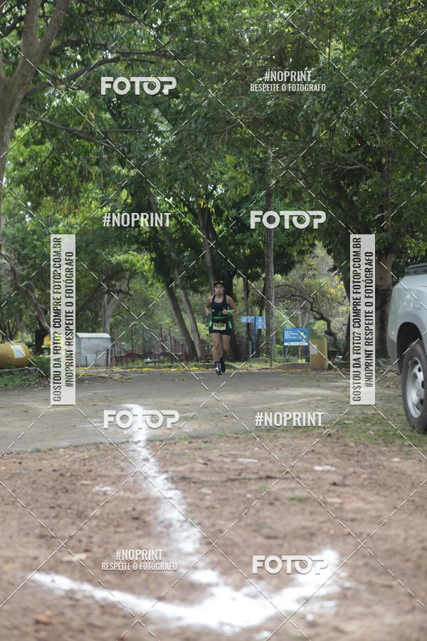 Buy your photos of the eventBR 135 ULTRAMARATONA DE RUA TERESINA on Fotop