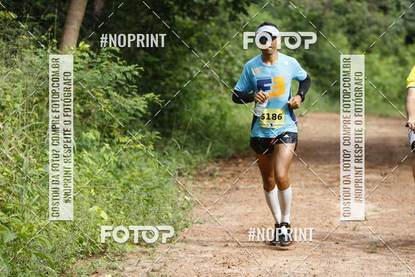 Buy your photos of the eventBR 135 ULTRAMARATONA DE RUA TERESINA on Fotop