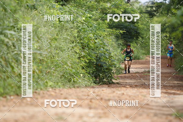 Buy your photos of the eventBR 135 ULTRAMARATONA DE RUA TERESINA on Fotop