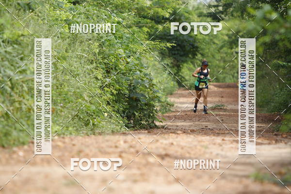 Buy your photos of the eventBR 135 ULTRAMARATONA DE RUA TERESINA on Fotop