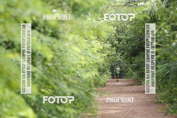 Buy your photos of the eventBR 135 ULTRAMARATONA DE RUA TERESINA on Fotop