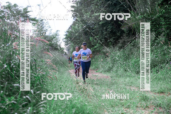 Buy your photos of the eventBR 135 ULTRAMARATONA DE RUA TERESINA on Fotop