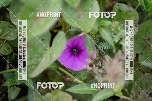 Buy your photos of the eventBR 135 ULTRAMARATONA DE RUA TERESINA on Fotop