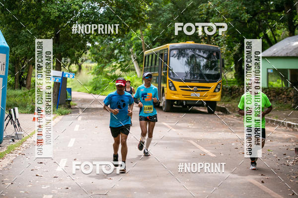 Buy your photos of the eventBR 135 ULTRAMARATONA DE RUA TERESINA on Fotop