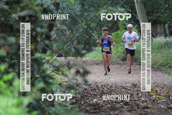 Buy your photos of the eventBR 135 ULTRAMARATONA DE RUA TERESINA on Fotop