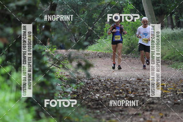 Buy your photos of the eventBR 135 ULTRAMARATONA DE RUA TERESINA on Fotop