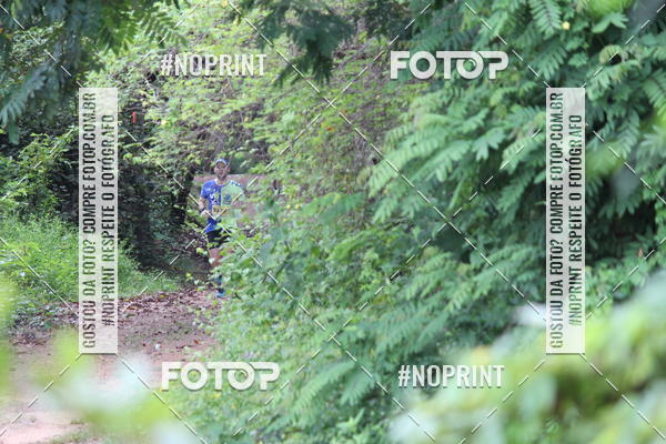 Buy your photos of the eventBR 135 ULTRAMARATONA DE RUA TERESINA on Fotop