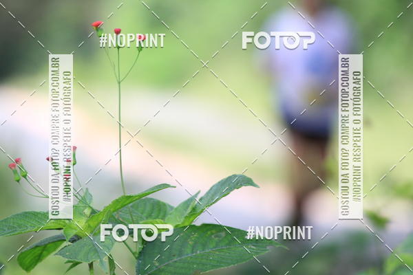 Buy your photos of the eventBR 135 ULTRAMARATONA DE RUA TERESINA on Fotop