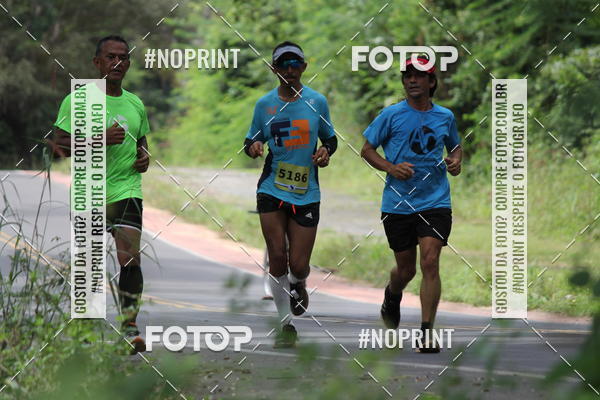 Buy your photos of the eventBR 135 ULTRAMARATONA DE RUA TERESINA on Fotop