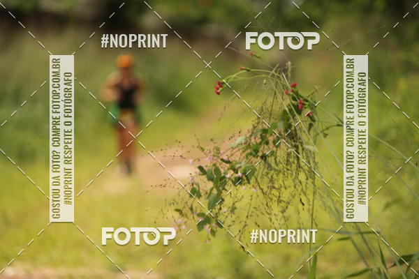 Buy your photos of the eventBR 135 ULTRAMARATONA DE RUA TERESINA on Fotop