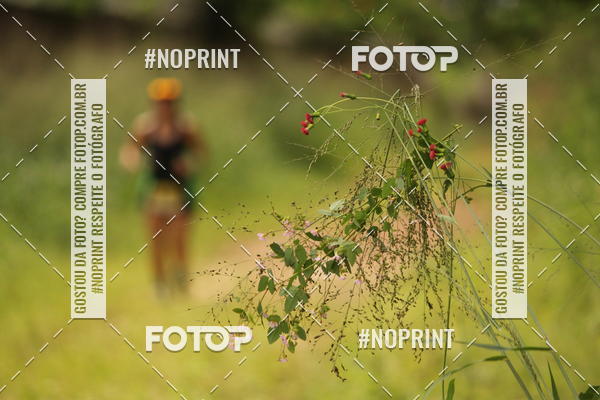 Buy your photos of the eventBR 135 ULTRAMARATONA DE RUA TERESINA on Fotop