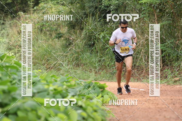 Buy your photos of the eventBR 135 ULTRAMARATONA DE RUA TERESINA on Fotop