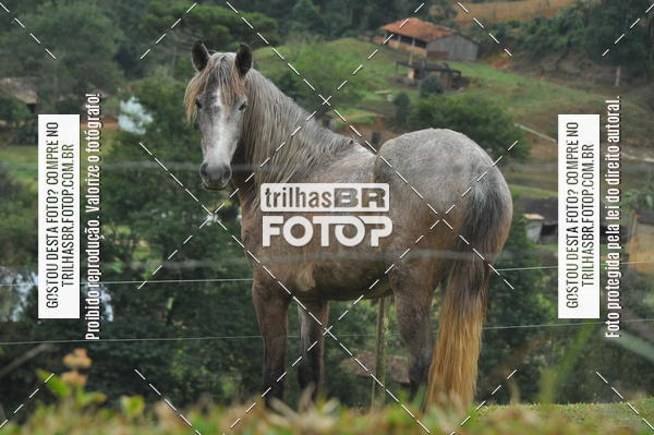 Buy your photos of the eventDESAFIO ORBEA RICARDO PSCHEIDT on Fotop