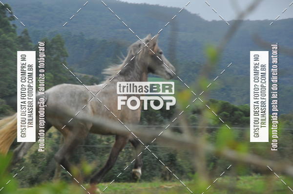 Buy your photos of the eventDESAFIO ORBEA RICARDO PSCHEIDT on Fotop