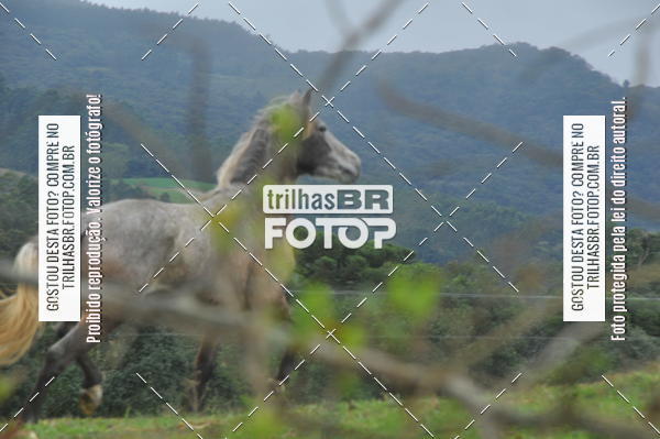 Buy your photos of the eventDESAFIO ORBEA RICARDO PSCHEIDT on Fotop