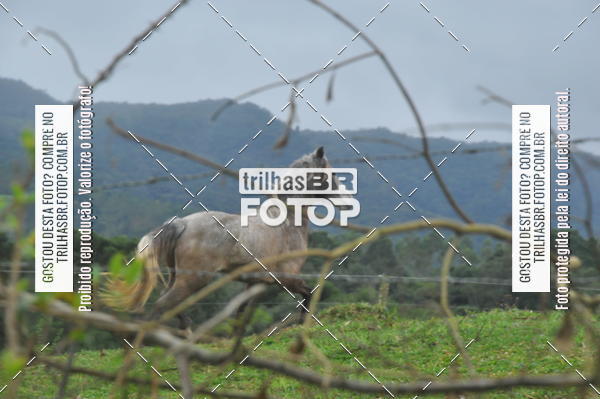 Buy your photos of the eventDESAFIO ORBEA RICARDO PSCHEIDT on Fotop