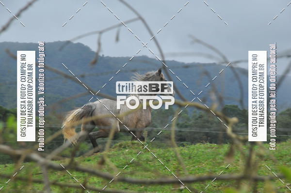 Buy your photos of the eventDESAFIO ORBEA RICARDO PSCHEIDT on Fotop