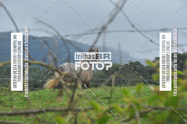 Buy your photos of the eventDESAFIO ORBEA RICARDO PSCHEIDT on Fotop