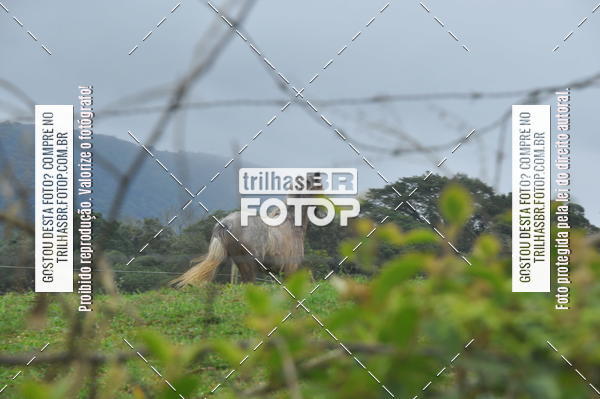 Buy your photos of the eventDESAFIO ORBEA RICARDO PSCHEIDT on Fotop