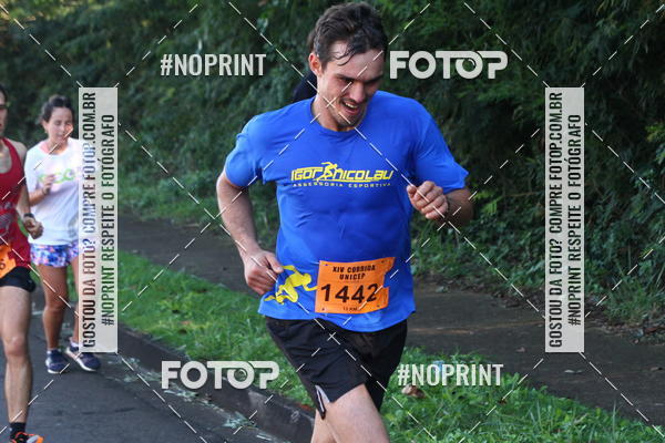 Acquista le foto dell'eventoXIV Corrida UNICEP in Fotop