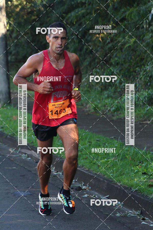 Compra tus fotos del eventoXIV Corrida UNICEP En Fotop
