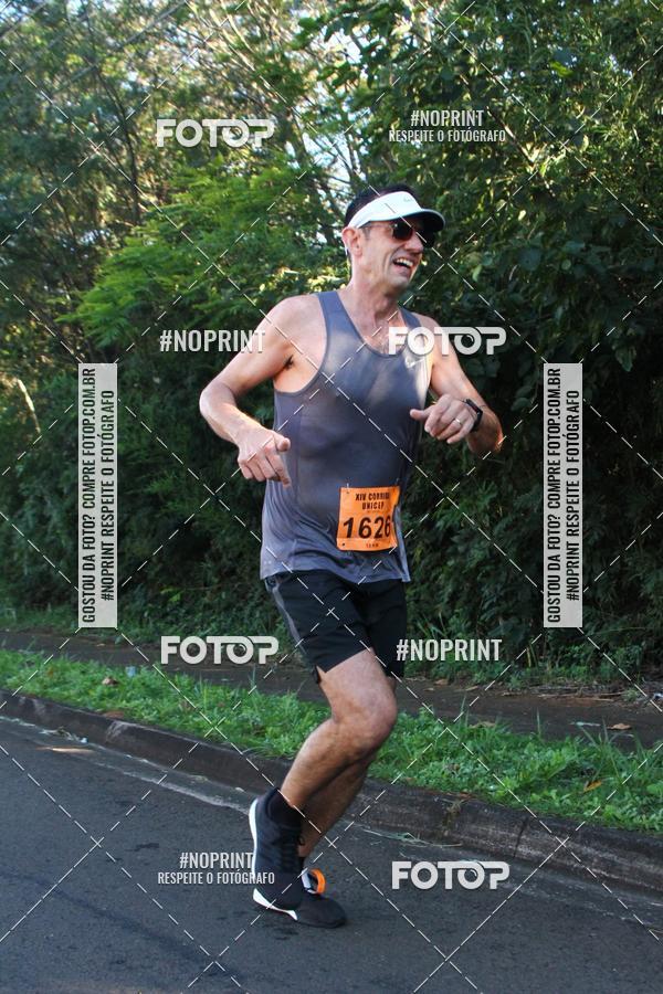 Compra tus fotos del eventoXIV Corrida UNICEP En Fotop
