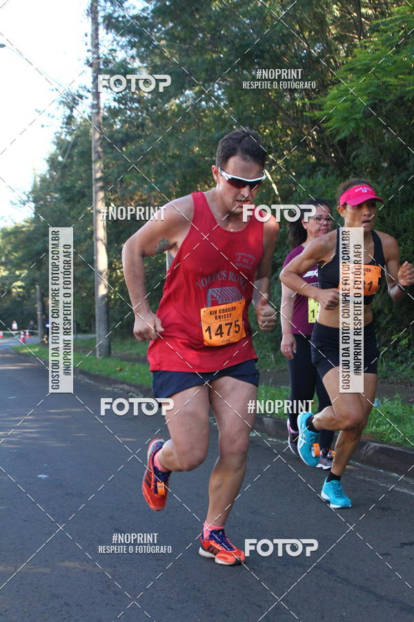 Compra tus fotos del eventoXIV Corrida UNICEP En Fotop