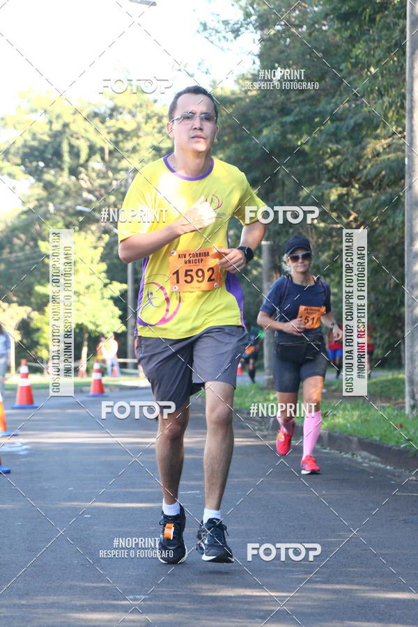 Buy your photos of the eventXIV Corrida UNICEP on Fotop
