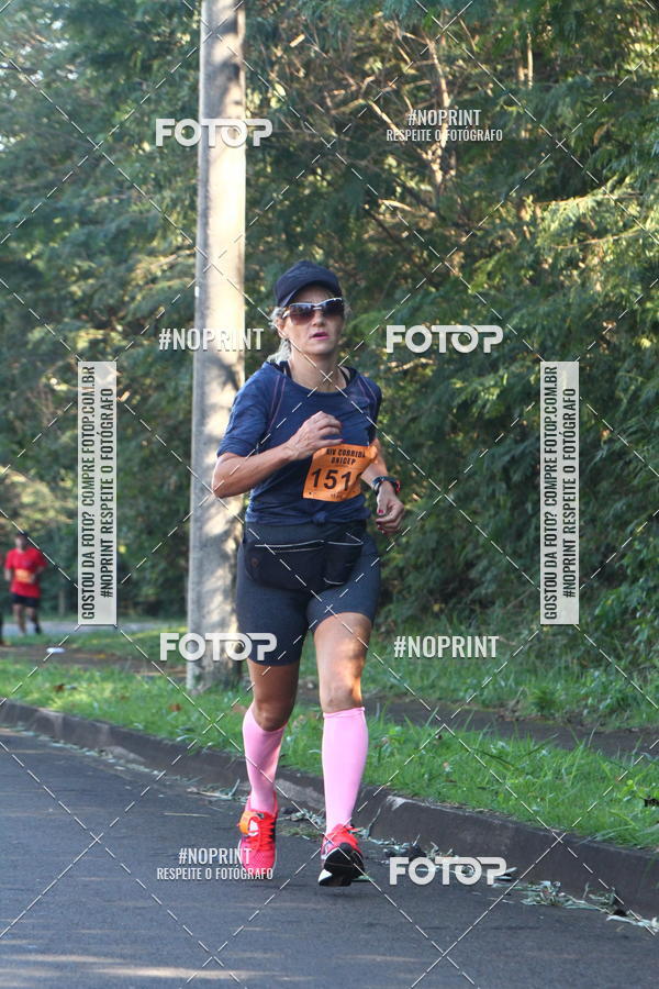 Compra tus fotos del eventoXIV Corrida UNICEP En Fotop