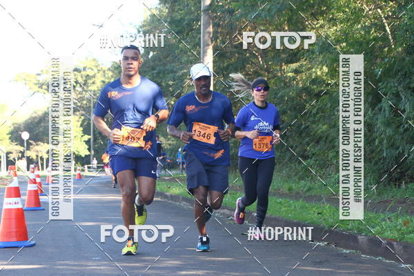 Compra tus fotos del eventoXIV Corrida UNICEP En Fotop