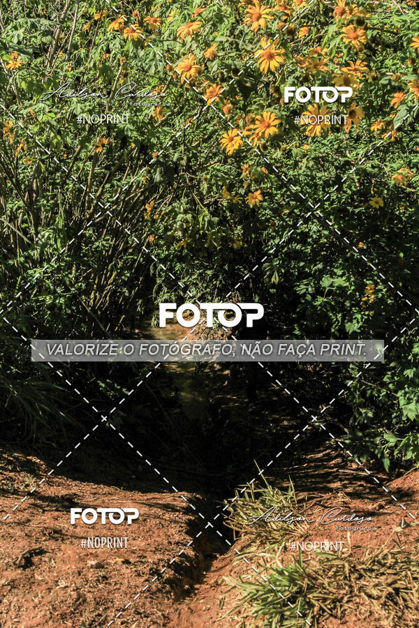 Buy your photos of the event3Trilhas  on Fotop