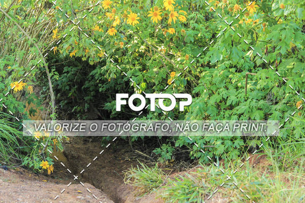 Buy your photos of the event3Trilhas  on Fotop