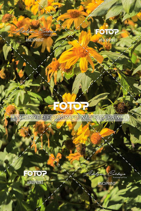 Buy your photos of the event3Trilhas  on Fotop