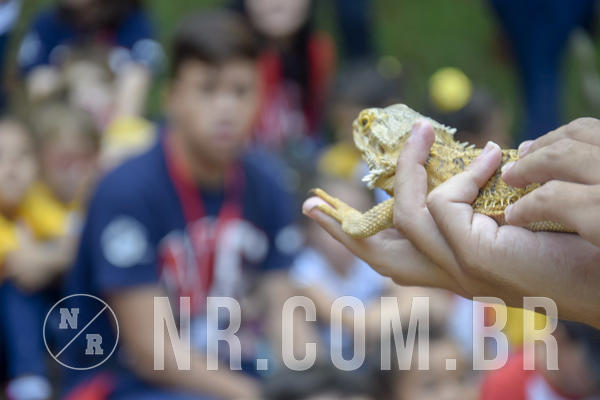 Buy your photos of the event NR1 - Day Camp 14/05/18 on Fotop