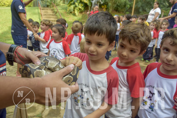 Buy your photos of the event NR1 - Day Camp 14/05/18 on Fotop