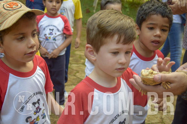 Buy your photos of the event NR1 - Day Camp 14/05/18 on Fotop