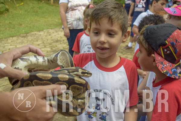 Buy your photos of the event NR1 - Day Camp 14/05/18 on Fotop